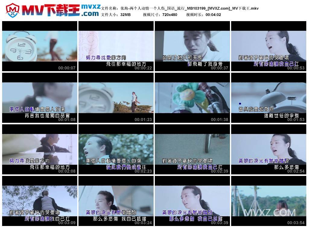 张海-两个人动情一个人伤_国语_流行_MB103199